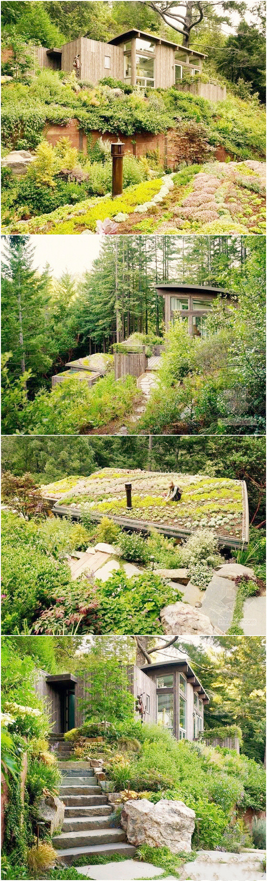 旧金山“mill valley木屋”