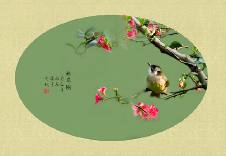 春鸟图
