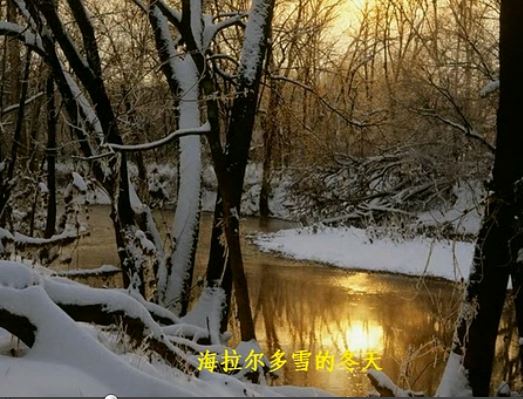 谭维维《往日时光》