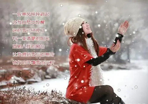 邓丽君《雪地上的回忆》