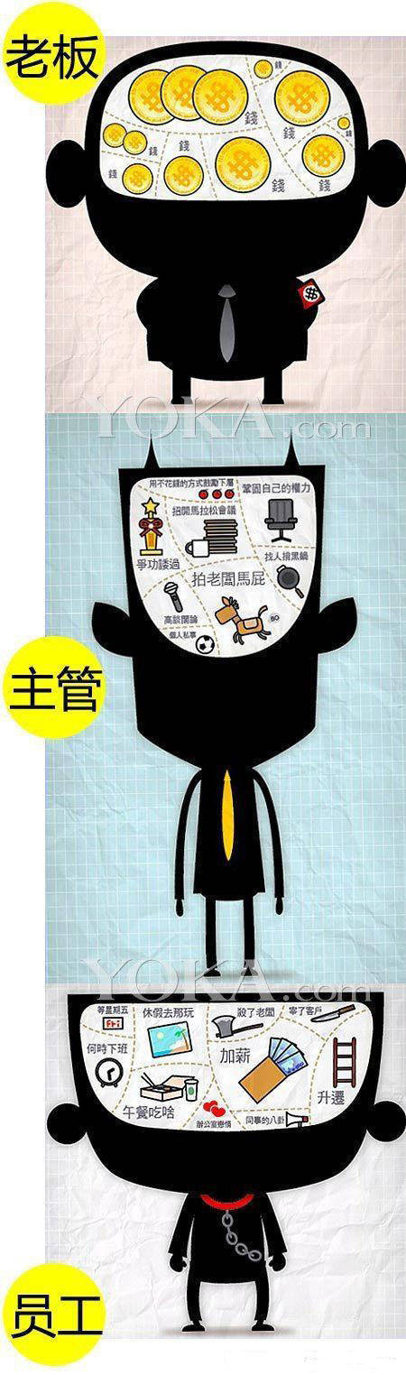 各阶层的大脑示意图