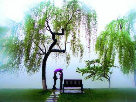 霍尊《浣溪沙》及《浣溪沙 ;山下兰芽短浸溪》赏析