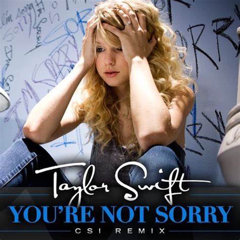 《You’re Not Sorry》《你不必道歉》
