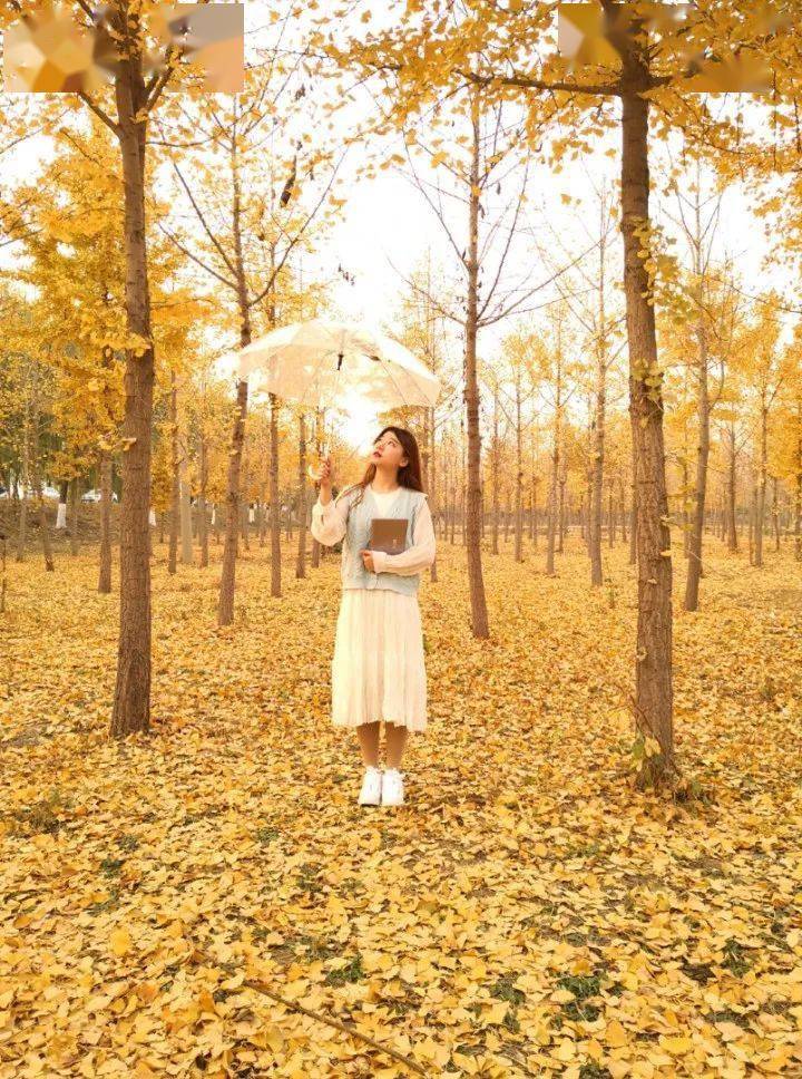 Ernesto Cortazar/《Leaves In The Wind 风中的