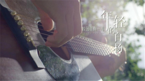 中国传媒大学校歌《校园里有一排年轻的白杨》