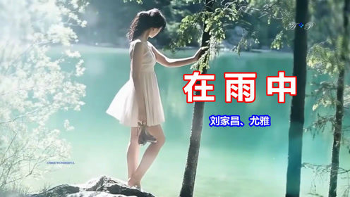 刘家昌 尤雅《在雨中》