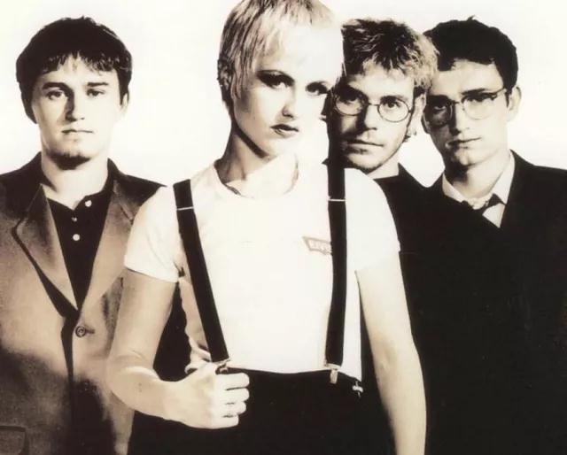 The cranberries---dying in the sun