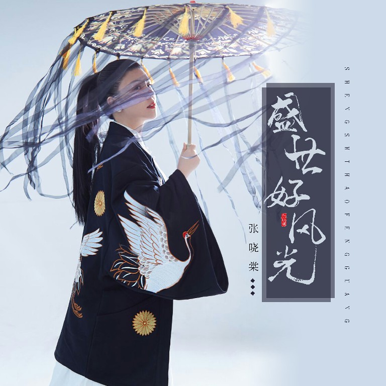 张晓棠《苏幕遮》