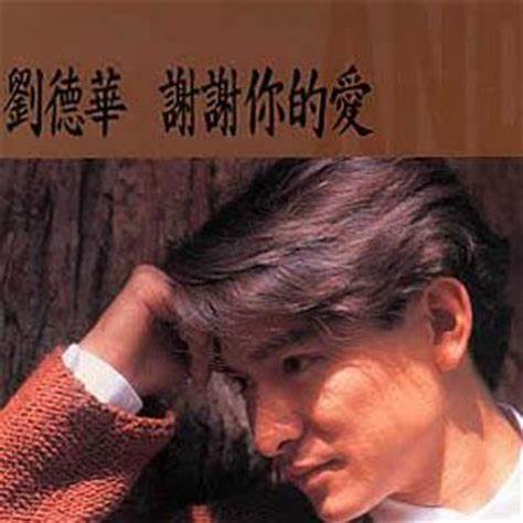 刘德华《谢谢你的爱》