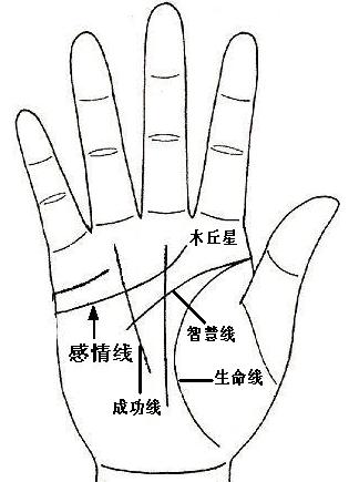 从手纹预知你的幸福爱情运