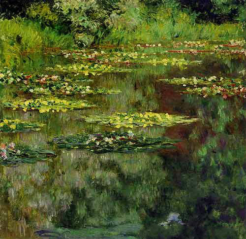 贾鹏芳《睡莲》（A Water Lily）