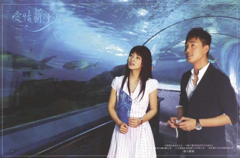 电视剧《爱情新呼吸》片头曲--《风信子》
