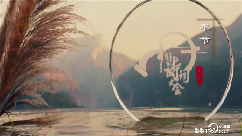 董卿《中国诗词》第三季第五场开场白