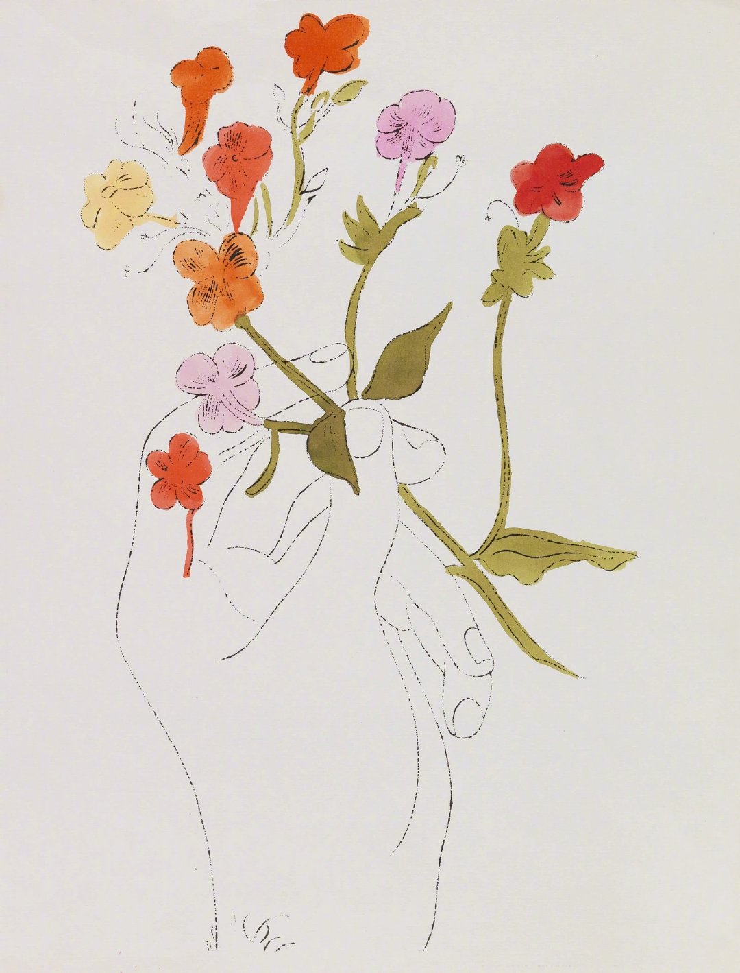 画片集安迪.沃霍尔的花