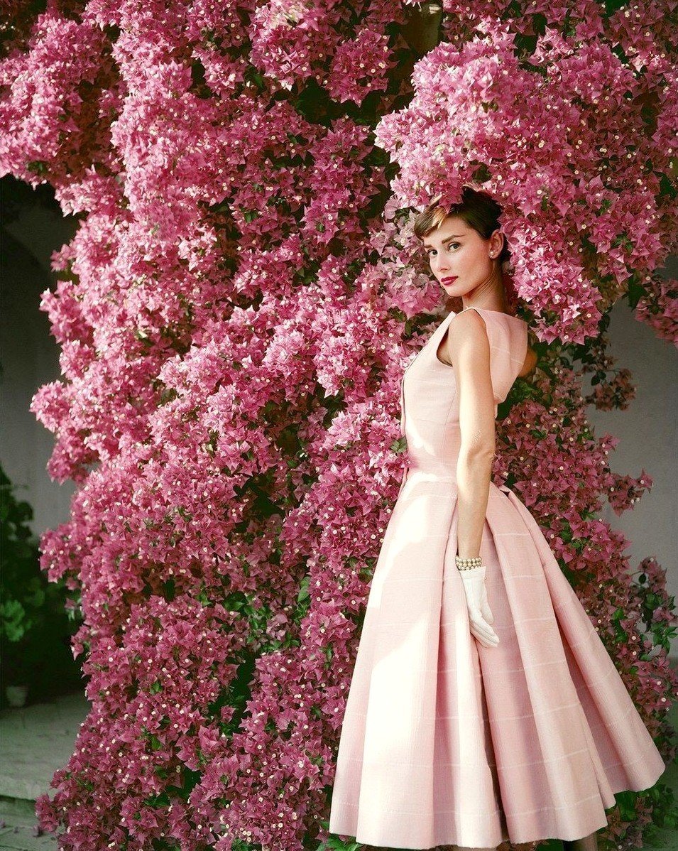 粉色系的奥黛丽·赫本（Audrey Hepburn）