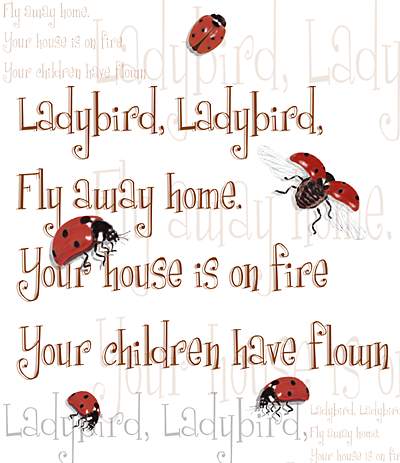 儿歌—Ladybug ladybug