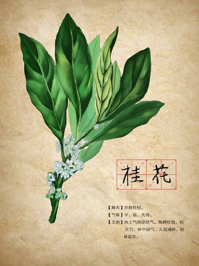 咏桂花