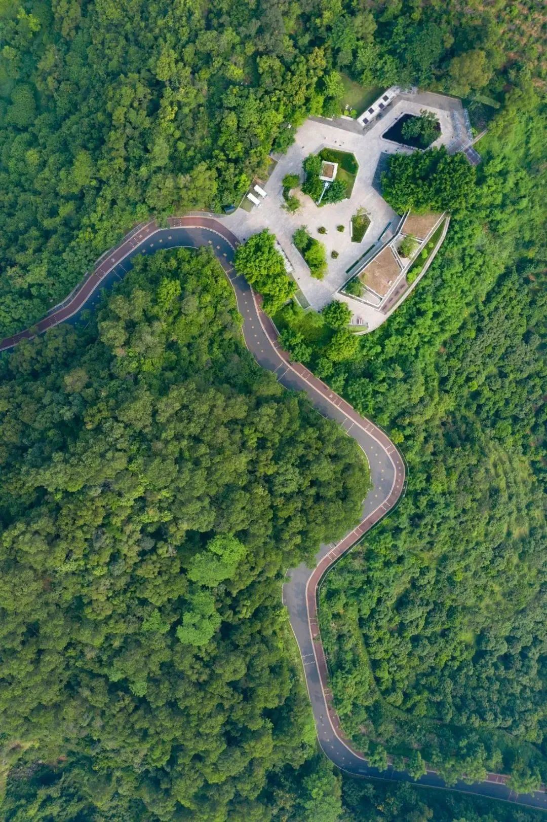 深圳值得去的13条骑行路线