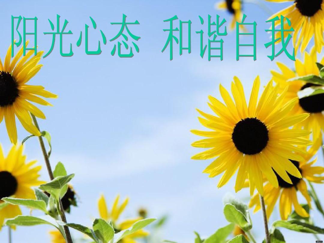 用阳光心态面对
