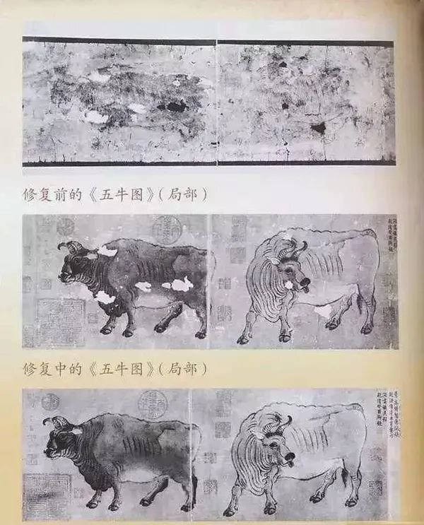 唐代国宝《五牛图》的来之不易