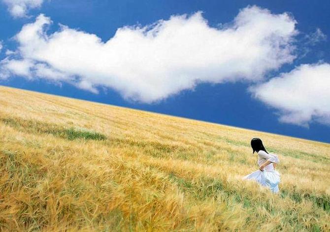Eva Cassidy《Fields of Gold》金色麦田