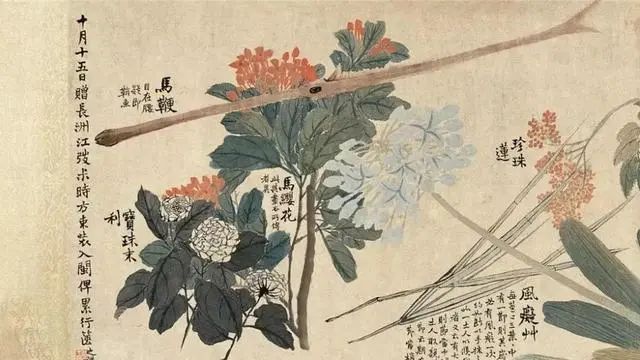 赵之谦《瓯中物产卷》