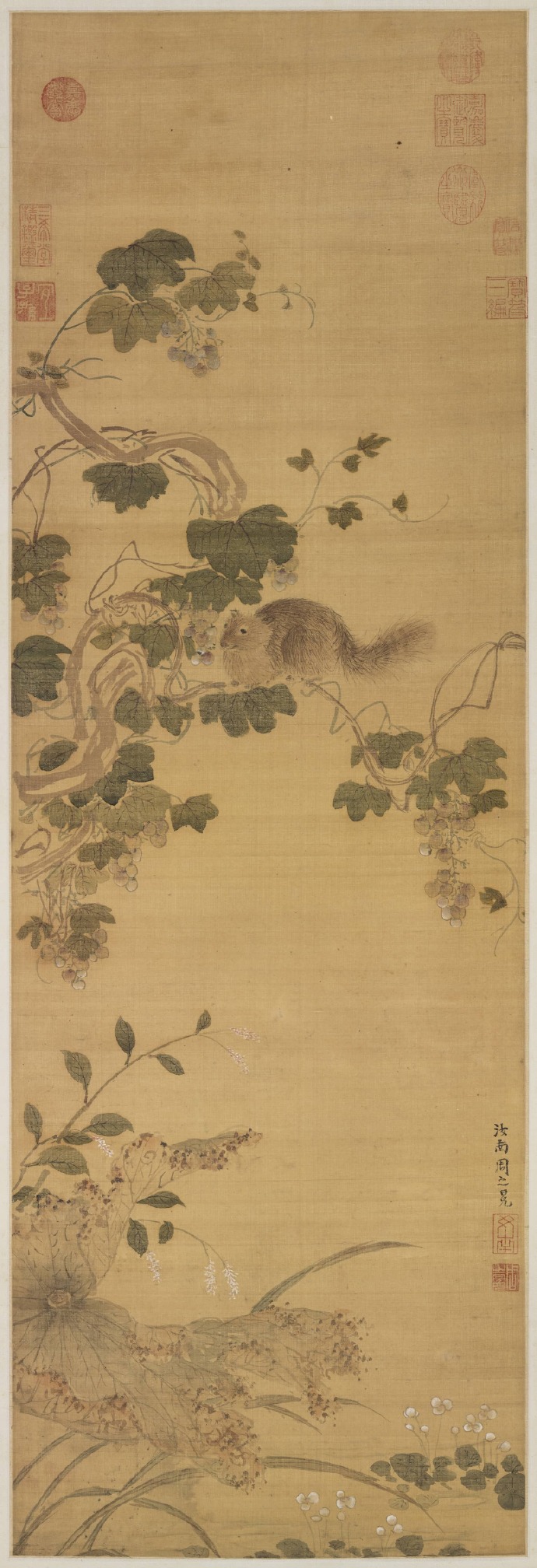周之冕《画葡萄松鼠轴》