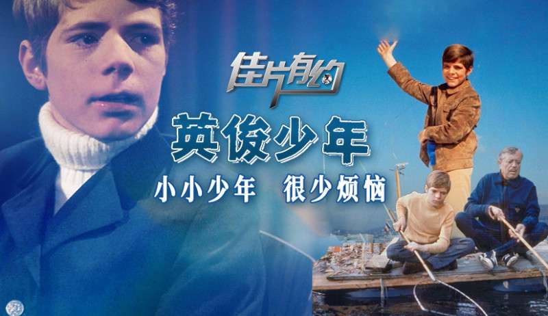 电影《英俊少年》插曲--《夏日的最后一朵玫瑰》