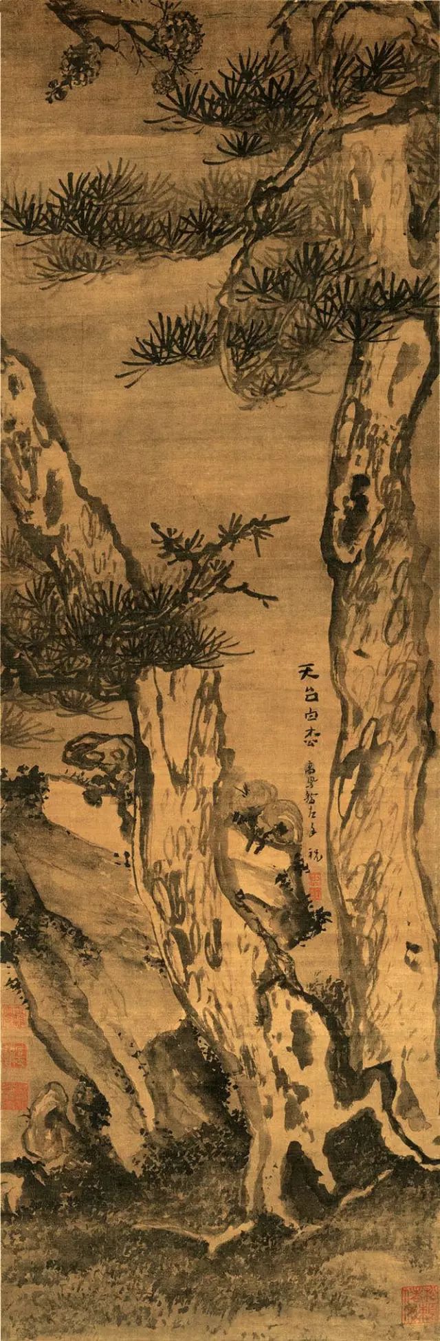 清 高凤翰《天台白松图》（中国国家博物馆藏）