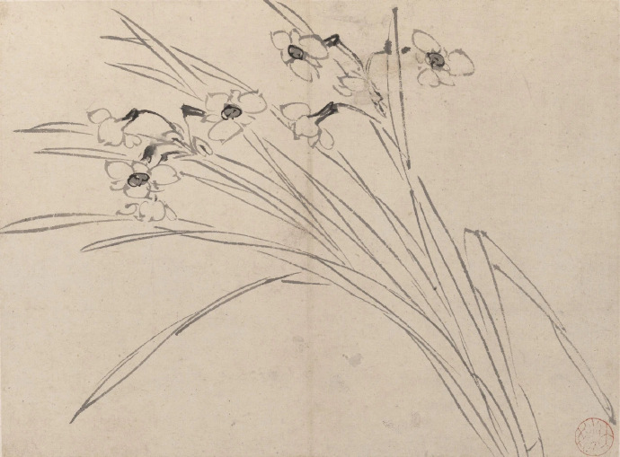 明 陈淳《花卉册》（二）