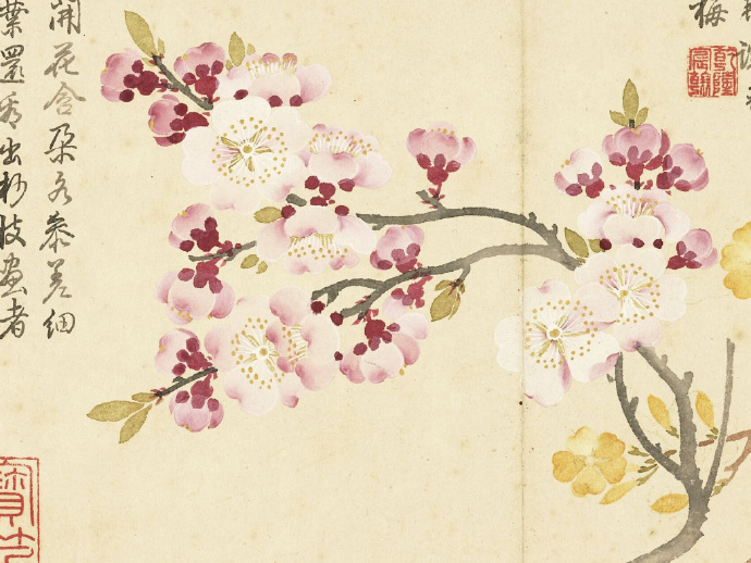  清 钱维城 花卉册-红黄杏花