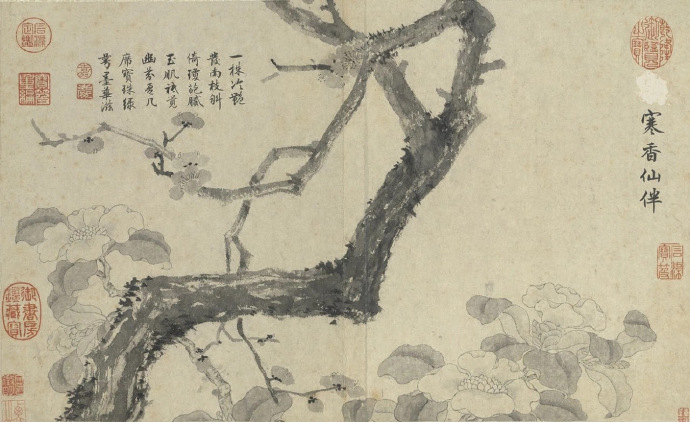 明 文徵明《花卉册》