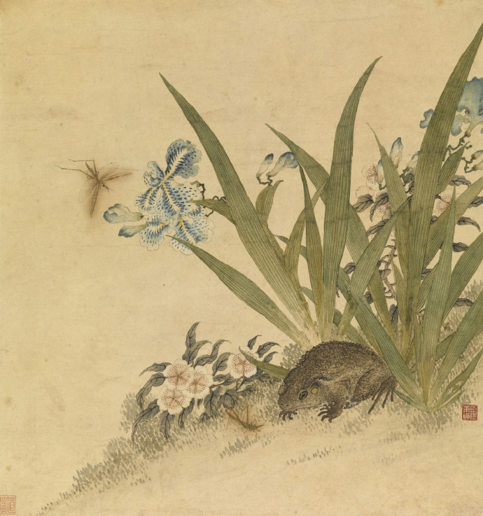 清 焦秉贞《蟾蜍蚱蜢图页》
