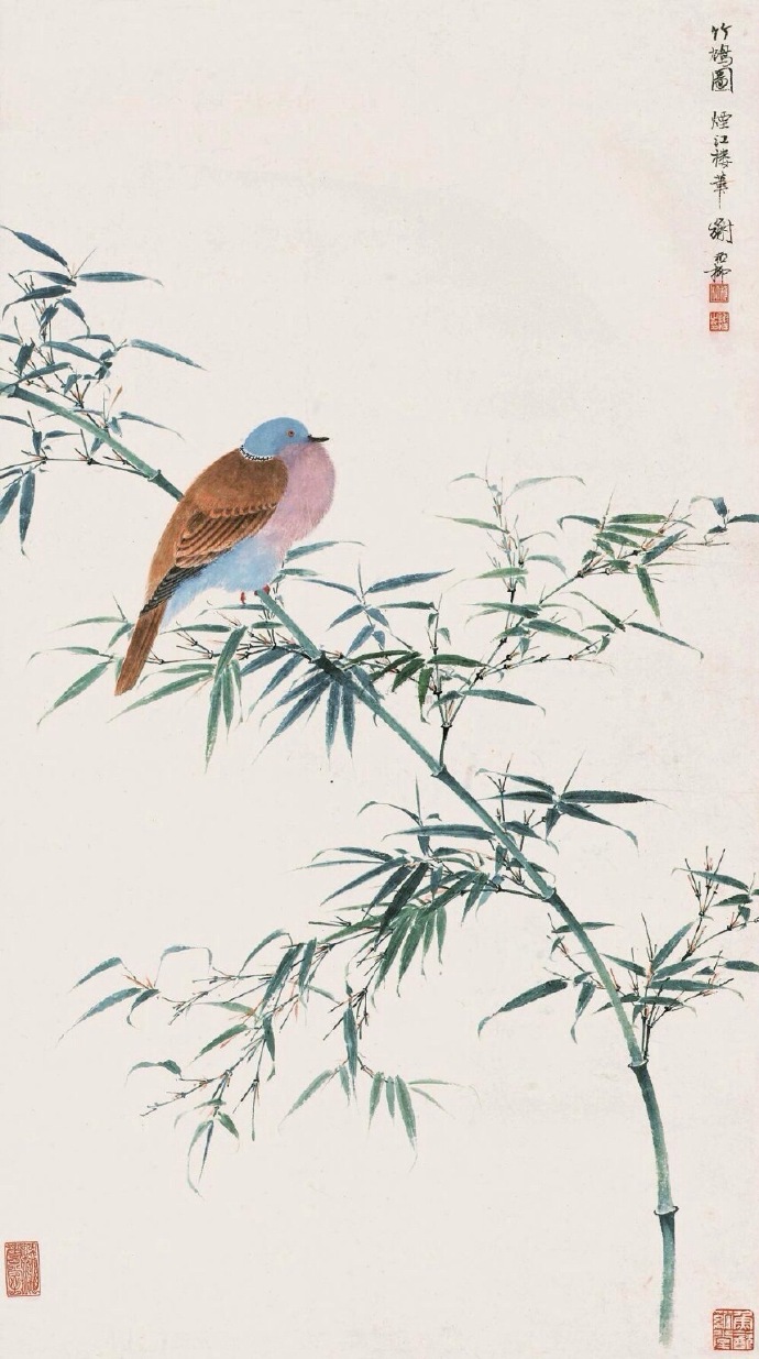 谢稚柳 花鸟画竹子小鸟怪石欣赏