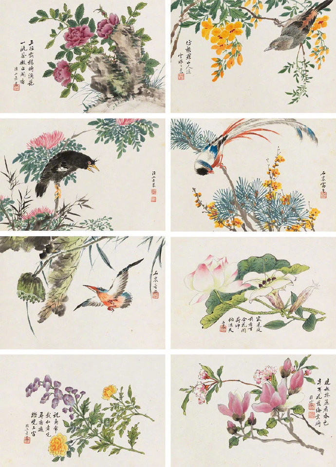清 董棨《花鸟册》