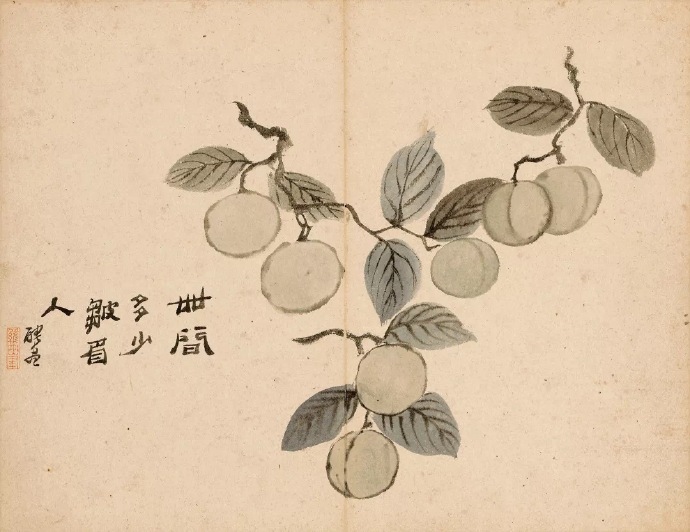 历代名家画花鸟水果杨梅梅子小麦水稻