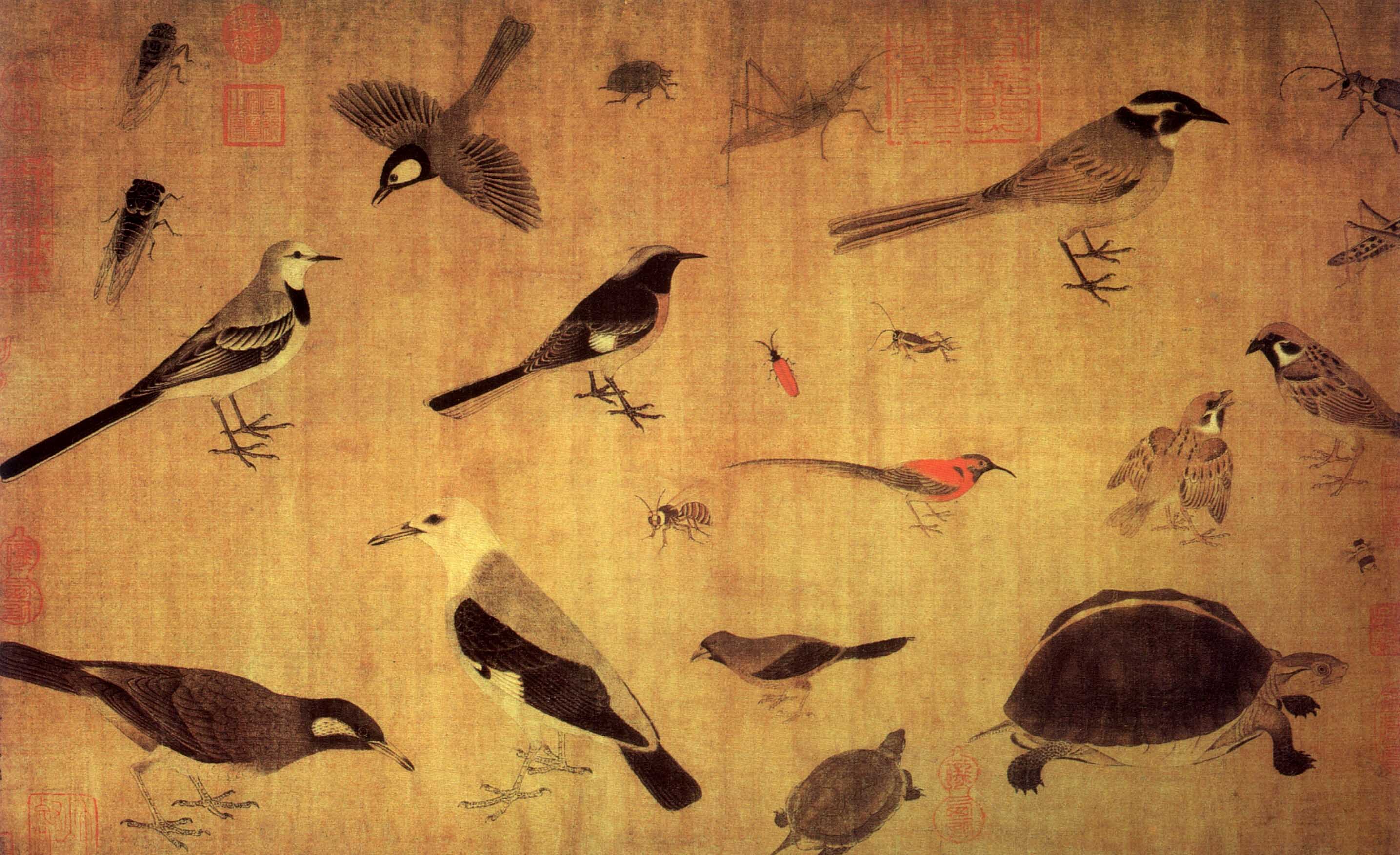 五代画家黄筌之《写生珍禽图》