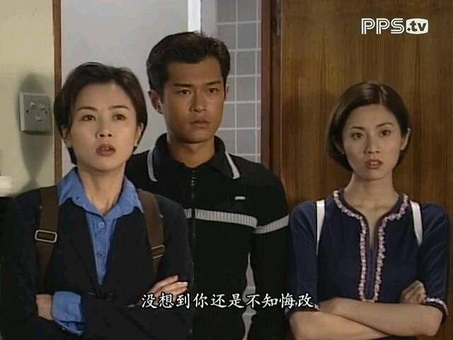 电视剧《廉政追缉令》主题曲--《藏身》郑中基