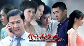 电视剧《你是我爱人》主题曲--《两边的孤单》肖山