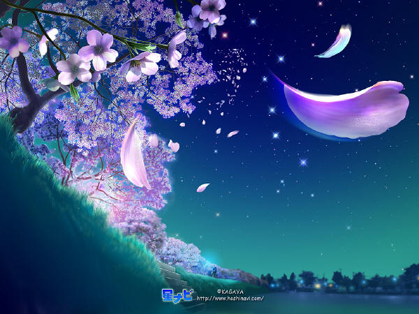 梁静茹《宁夏》