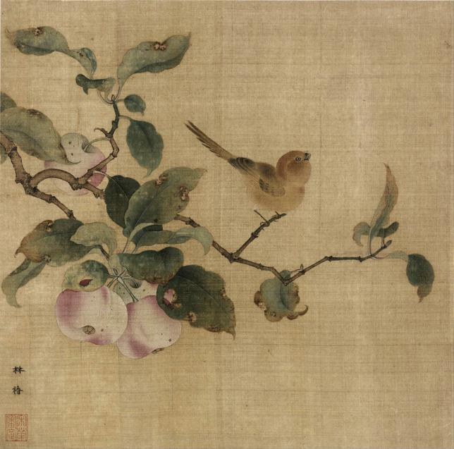 林椿《果熟来禽图》
