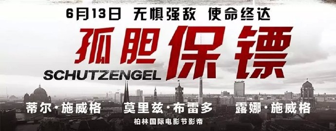 德国惊悚片《孤胆保镖》(国语版)