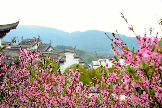 婺源