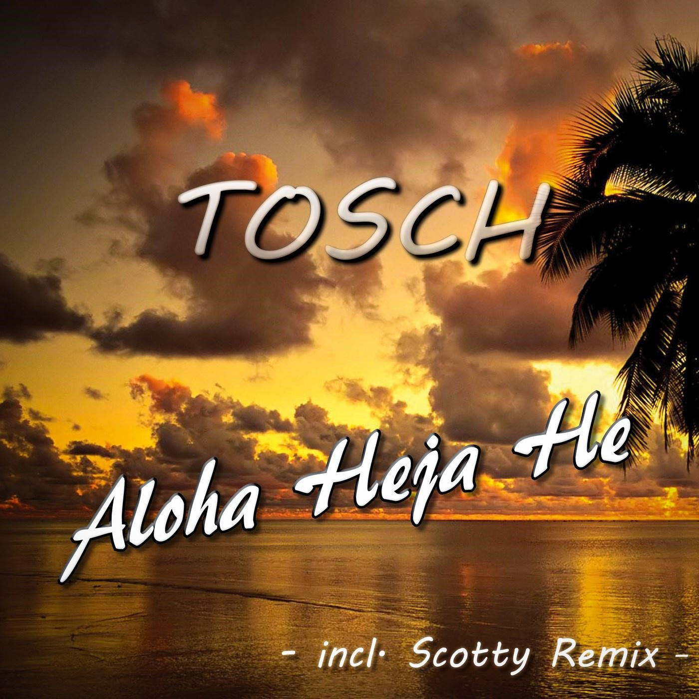 AchimReichel（阿希姆·赖歇尔）《Aloha Heja He》