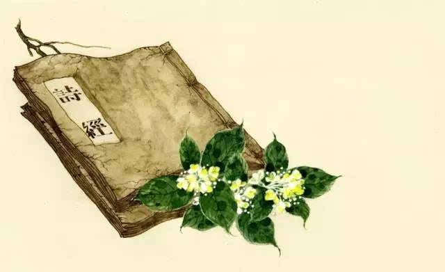 《诗经》名句取名大全