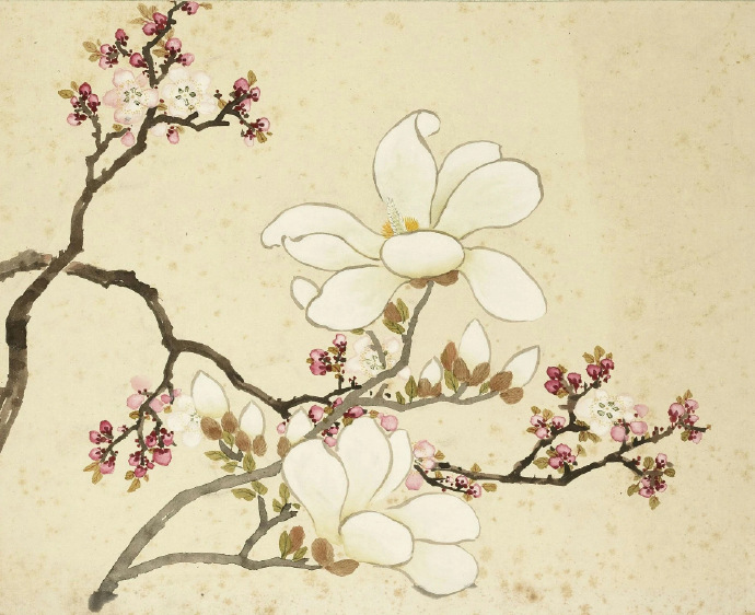  清 沈振麟 绘十二月花神册