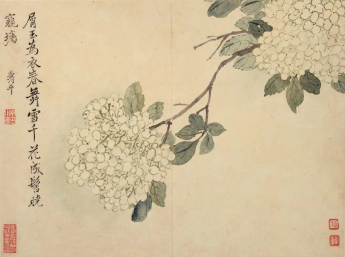 清  恽寿平 春花图（二）