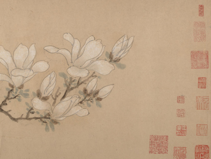 明 文徵明《玉兰花图》（纽约大都会艺术博物馆藏）