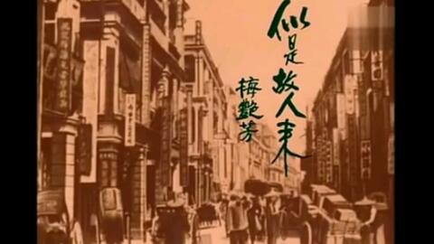 梅艳芳《似是故人来》（TVB版MV）