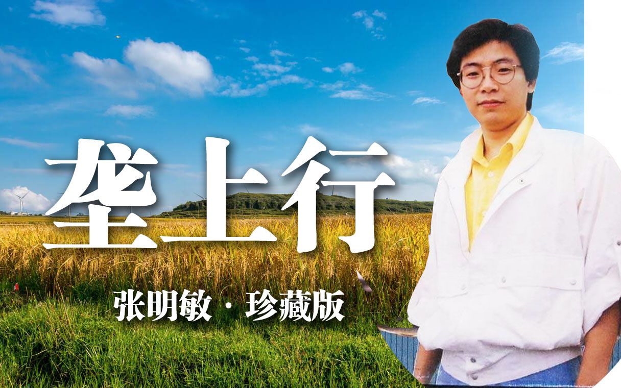 张明敏《垄上行》